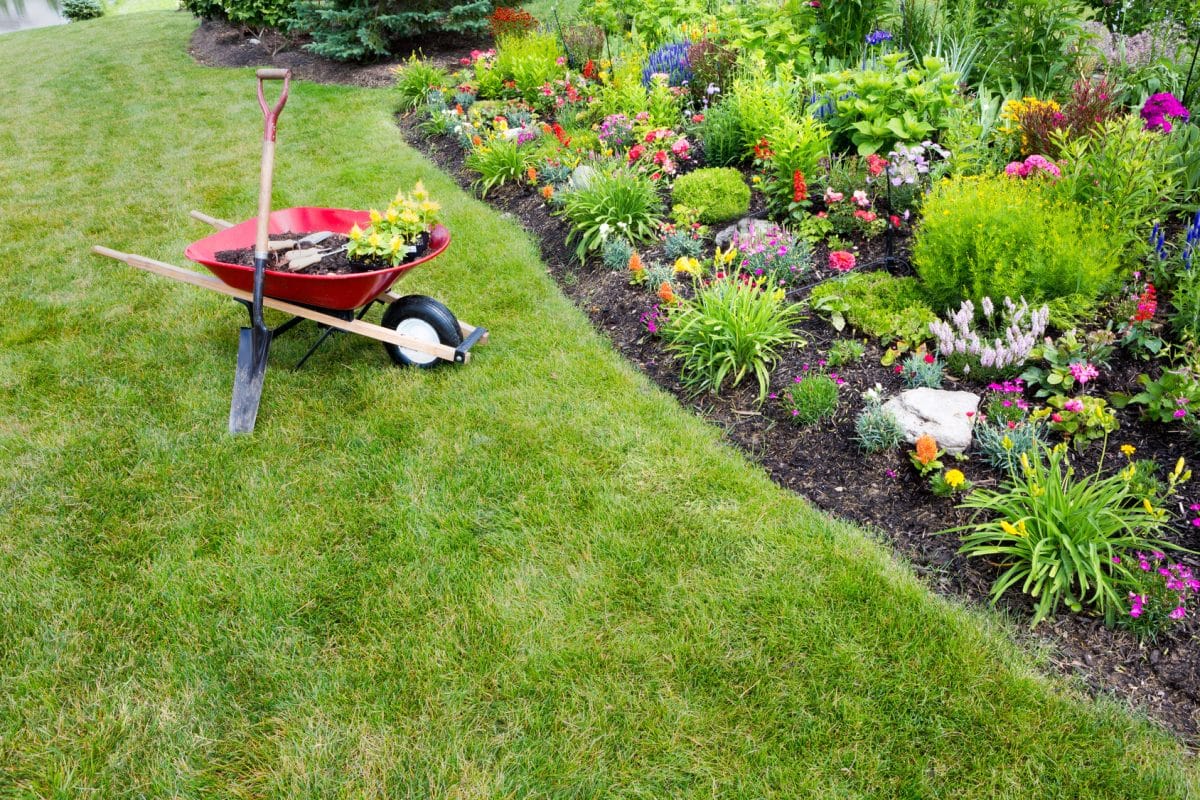 Créez un magnifique parterre en gravier décoratif sans entretien moderne avec ces astuces simples